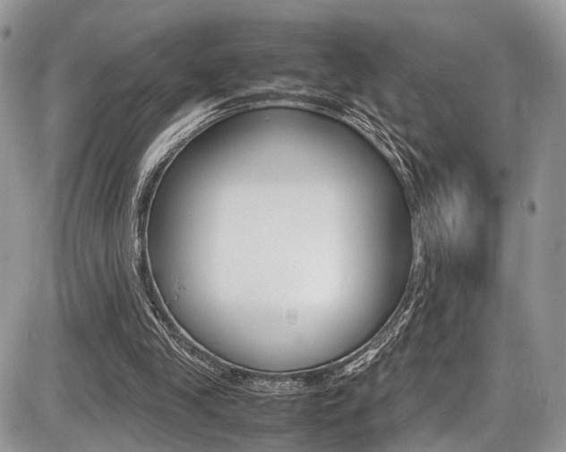 X0000087420245200704201052