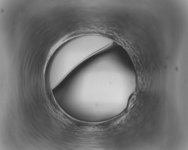 X0000087420246200704201052