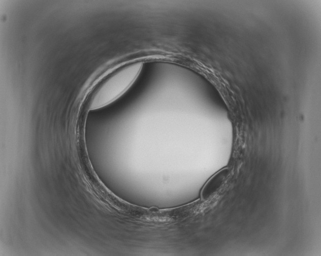 X0000087420247200704201052