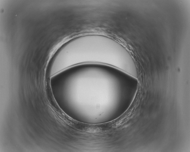 X0000087420248200704201052