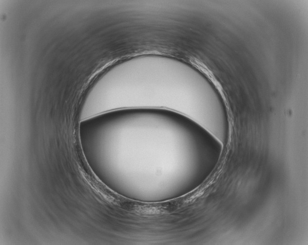 X0000087420249200704201052