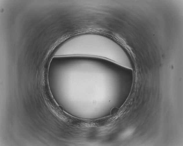 X0000087420250200704201053