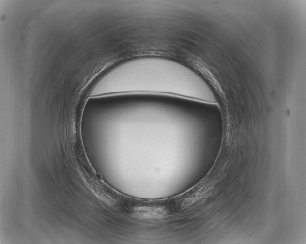 X0000087420251200704201053