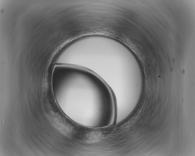 X0000087420252200704201053