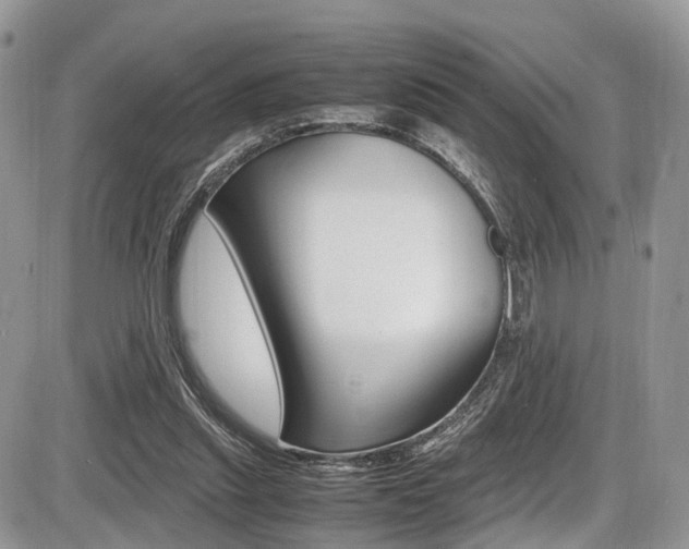 X0000087420253200704201053