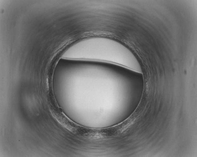 X0000087420254200704201053