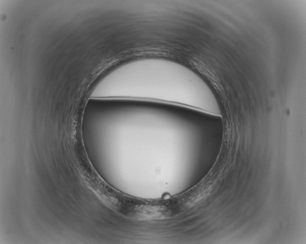 X0000087420255200704201053