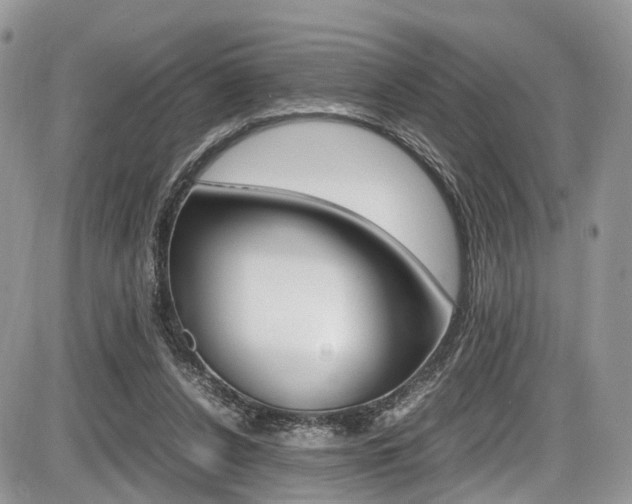 X0000087420256200704201053