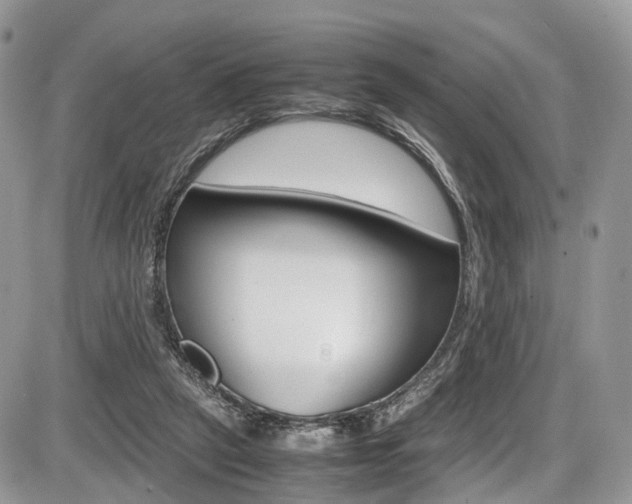 X0000087420257200704201053