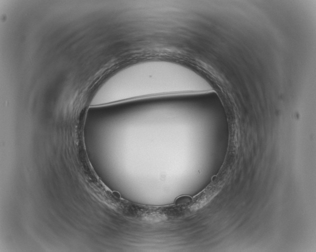 X0000087420258200704201053