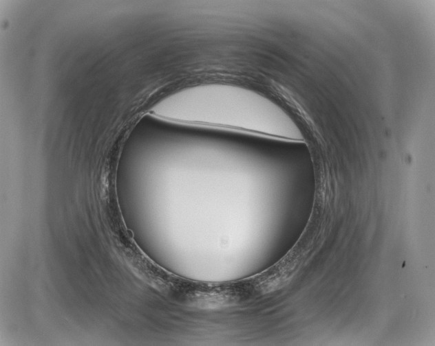 X0000087420259200704201053