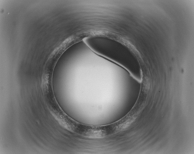 X0000087420260200704201053