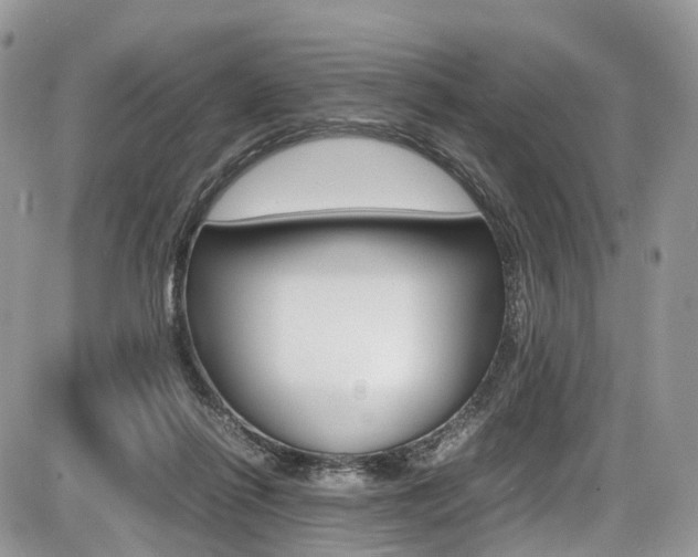 X0000087420262200704201053