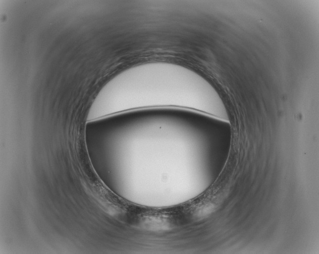 X0000087420263200704201053