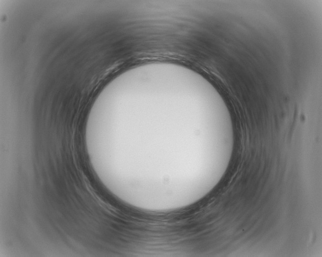 X0000087420264200704201053