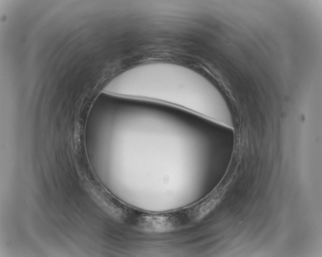 X0000087420265200704201053