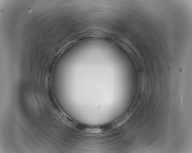 X0000087420266200704201053