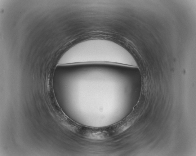 X0000087420267200704201053