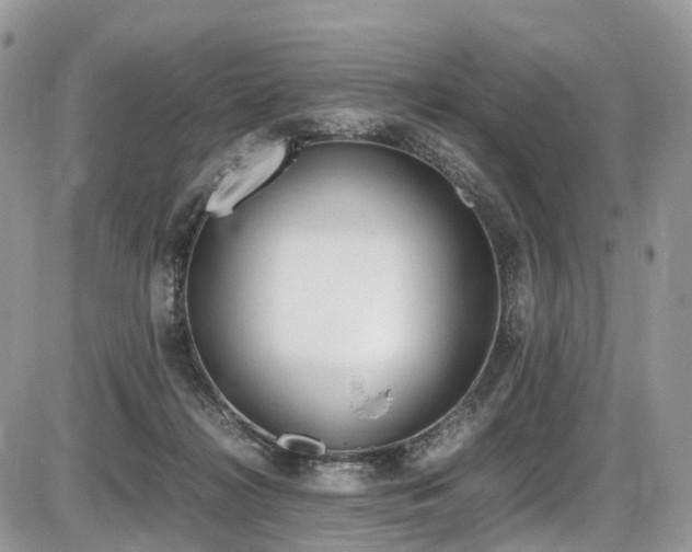 X0000087420268200704201053