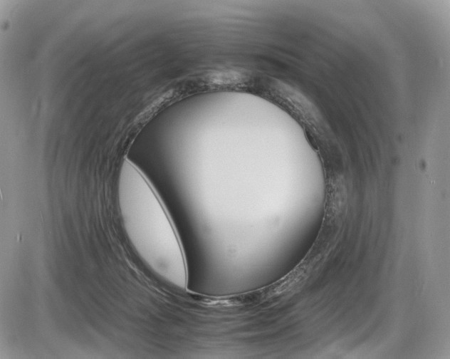 X0000087420269200704201053