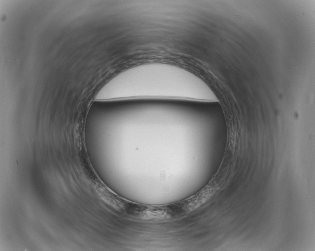 X0000087420270200704201053