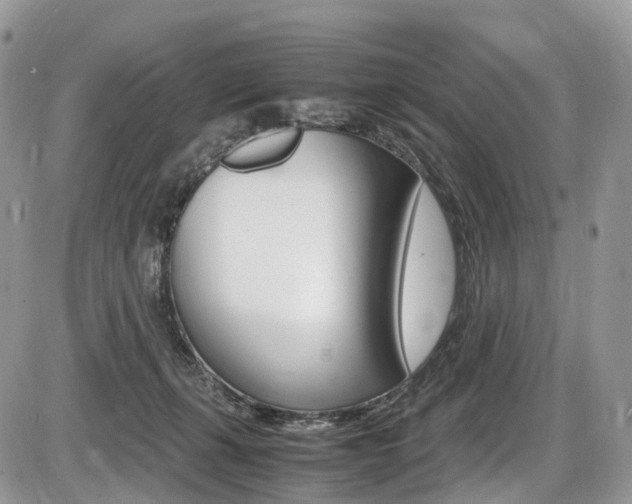 X0000087420271200704201053