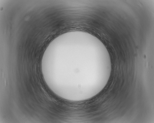 X0000087420272200704201053