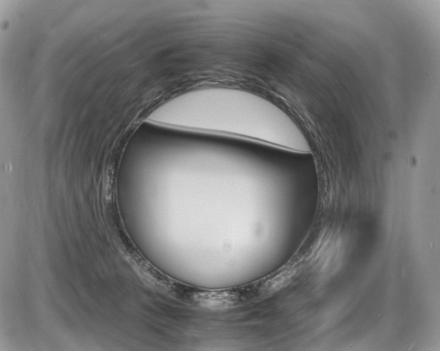 X0000087420273200704201053