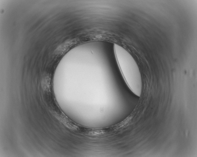 X0000087420274200704201053