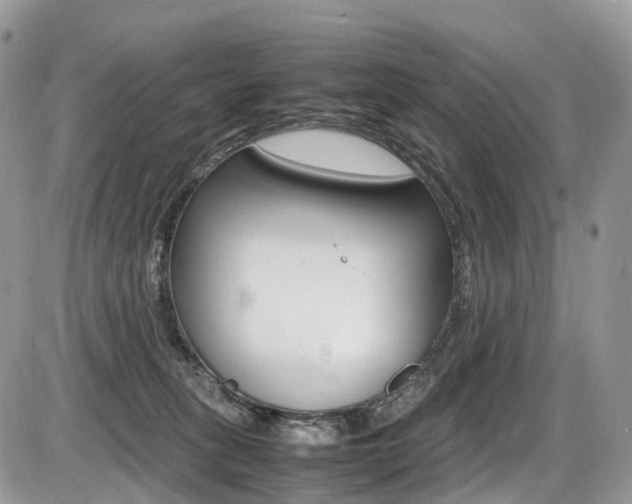 X0000087420275200704201053