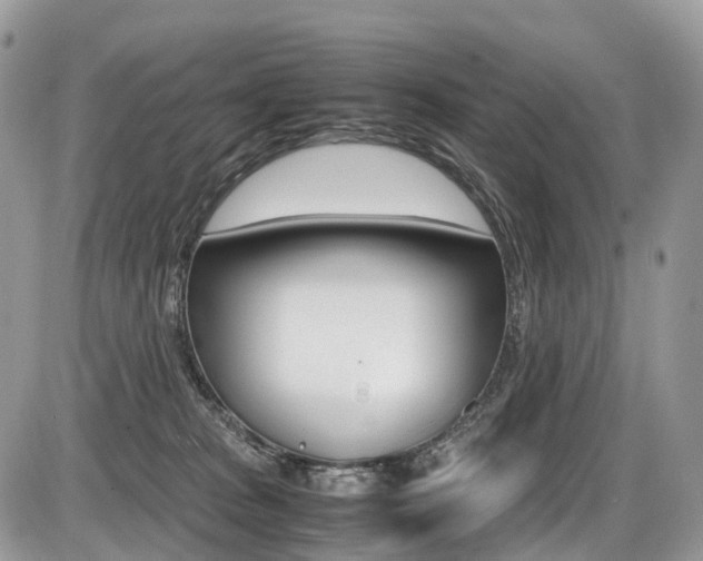 X0000087420277200704201053