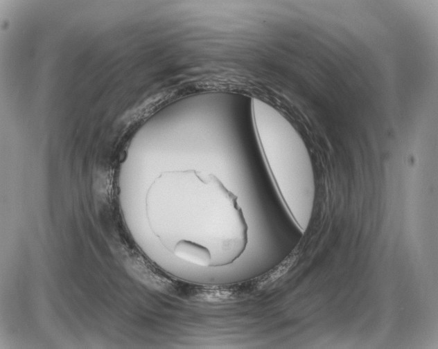 X0000087420278200704201053