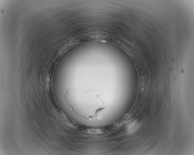 X0000087420279200704201053