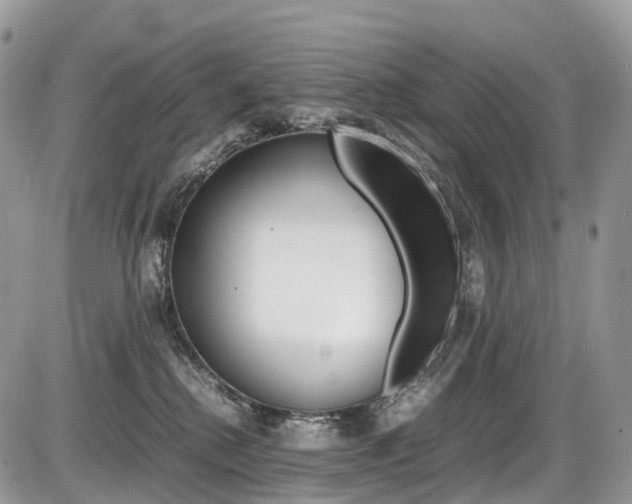 X0000087420280200704201053