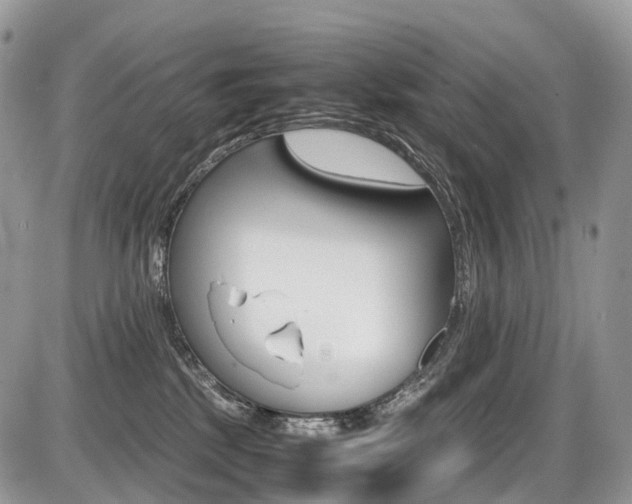 X0000087420281200704201053