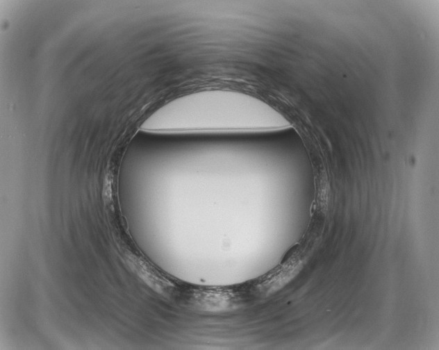 X0000087420282200704201053