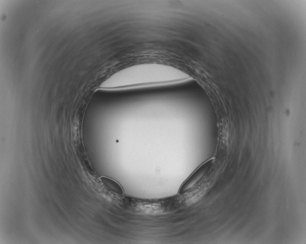 X0000087420283200704201053