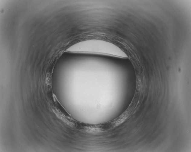 X0000087420284200704201053