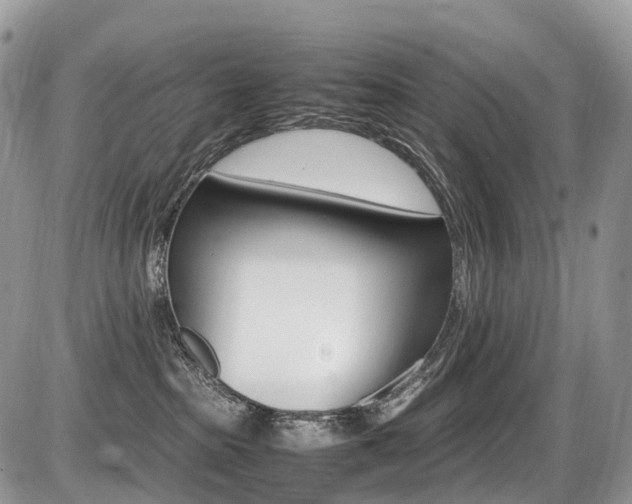 X0000087420285200704201053