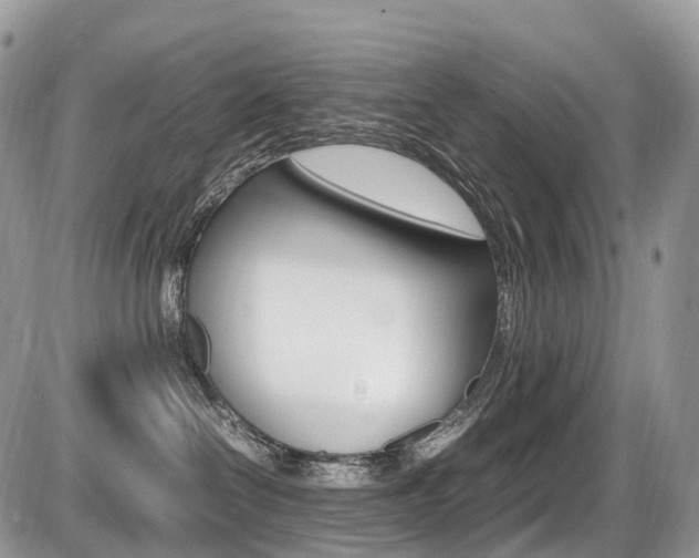 X0000087420286200704201053