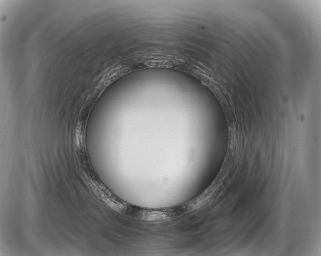 X0000087420287200704201053