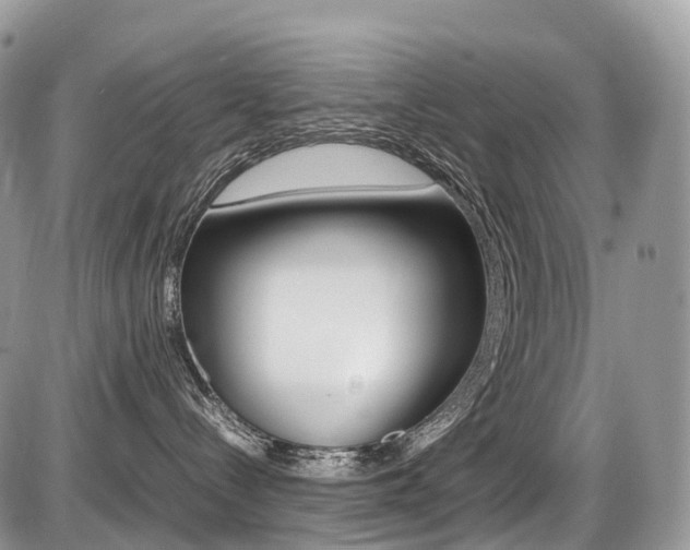 X0000087420288200704201053