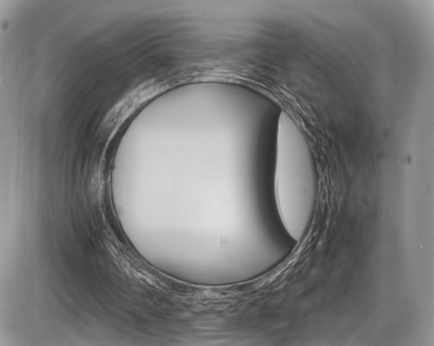 X0000087420290200704201052