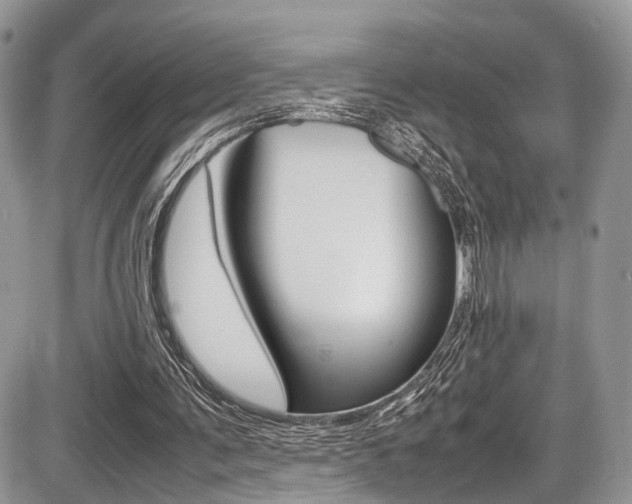 X0000087420291200704201052