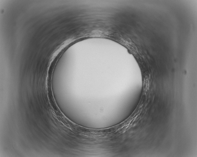 X0000087420292200704201052