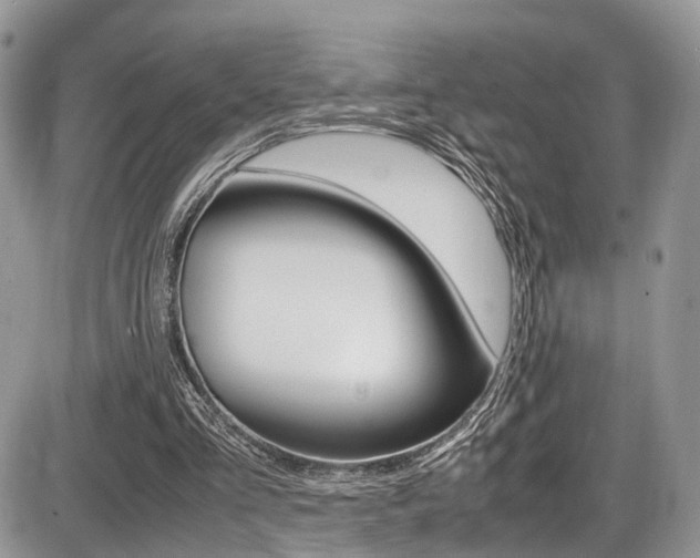 X0000087420293200704201052