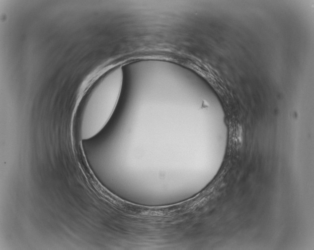 X0000087420294200704201052