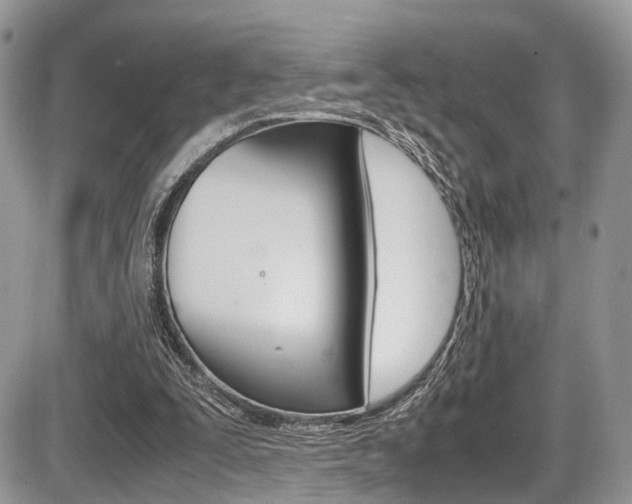 X0000087420295200704201052