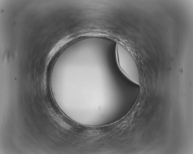 X0000087420296200704201052