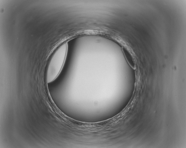 X0000087420297200704201052